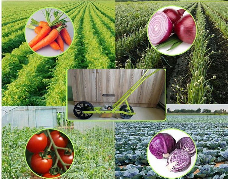 best selling small vegetable seeder(001)