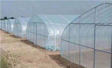 Commercial Agricultural Greenhouses